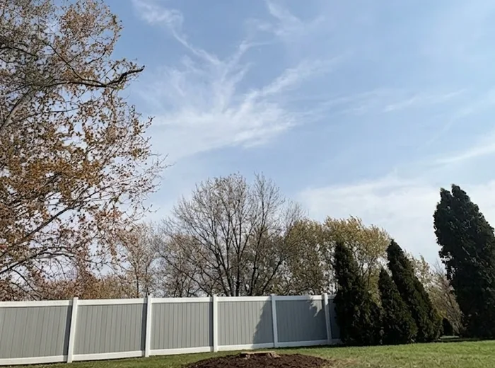 Same yard after tree removal with the stump ground out