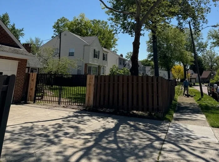 Same tree after crown trim, raised clear of the driveway