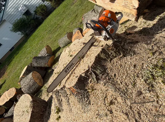 Chainsaw resting on a freshly cut stump with log rounds