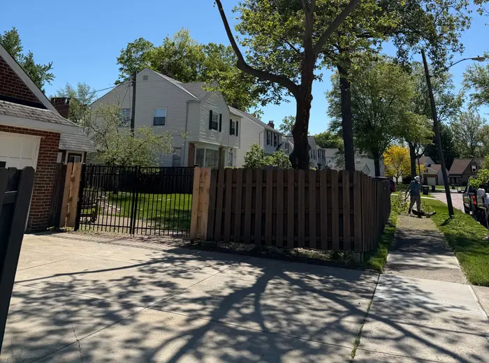 Tall street tree in a residential Galion neighborhood