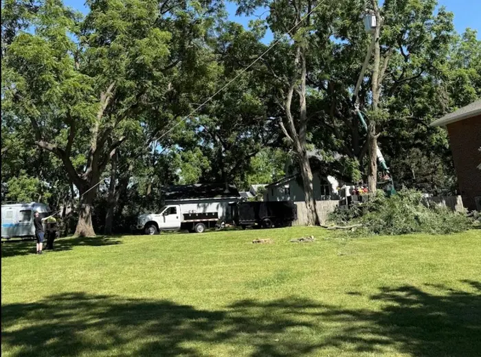 Tree crew and equipment staged on a job site with cleared branches