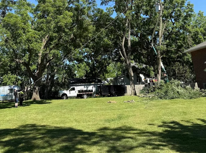 Bucket truck working near power lines