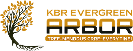 KBR Evergreen Arbor
